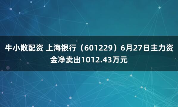 牛小散配资 上海银行（601229）6月27日主力资金净卖出1012.43万元
