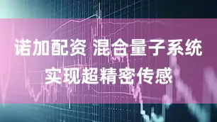 诺加配资 混合量子系统实现超精密传感