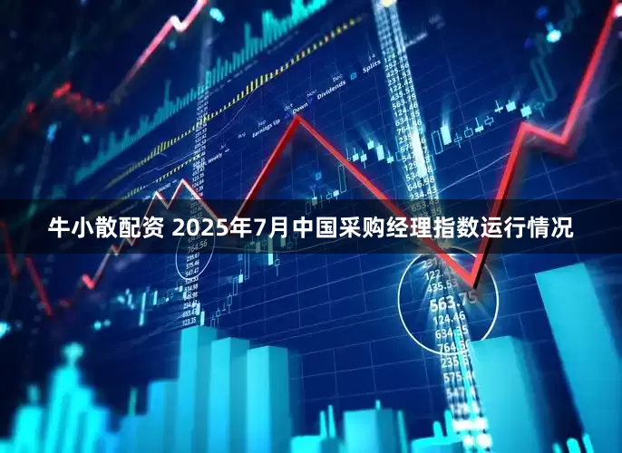 牛小散配资 2025年7月中国采购经理指数运行情况